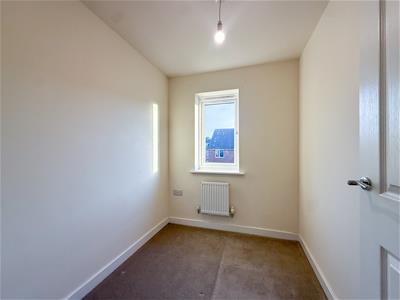 Picture 24